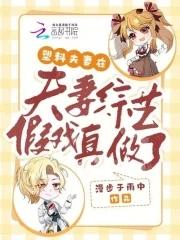 夫妻节目视频 夫妻节目视频