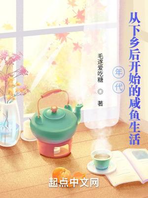 重生年代下乡 重生年代下乡