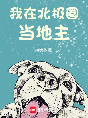 我在北极光下