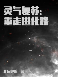 终极进化路尽头