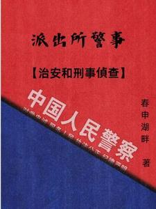 派出所办案刑事案件治安案件 派出所办案刑事案件治安案件